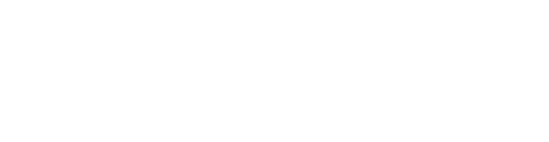 WaPlus